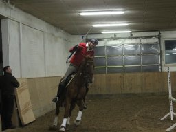 IMG_3036_web